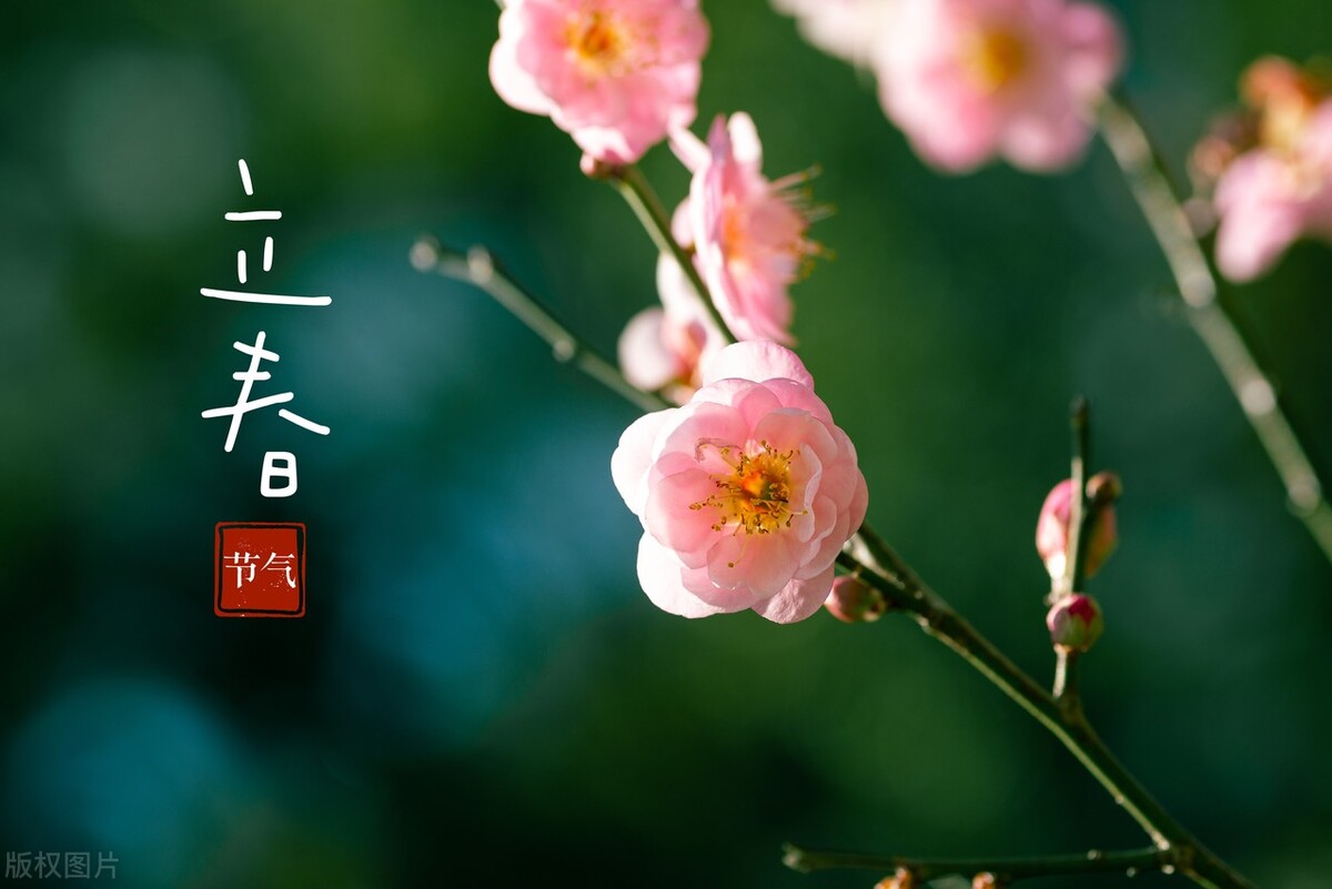 立春佳句20句，愿春暖花开，一切皆安