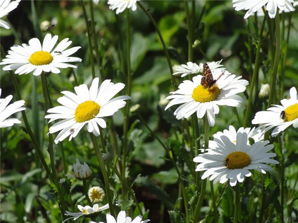 早安撩人情话10句，甜蜜一整天!