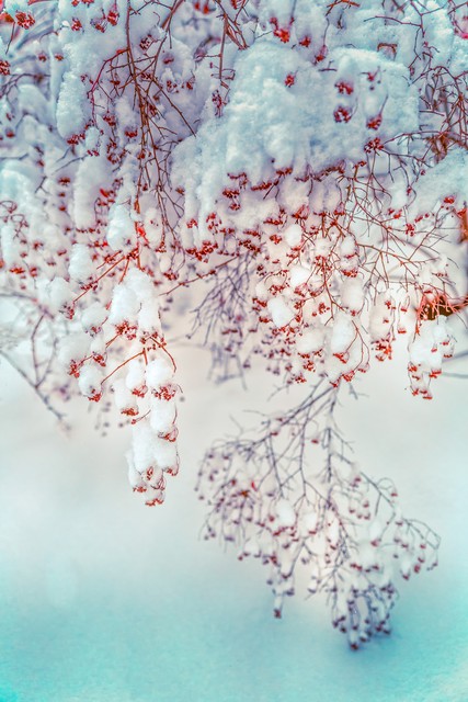 下雪天发朋友圈的精美句子，有风听风，下雪看雪