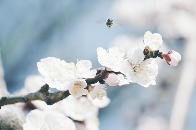 唐代边塞诗10首，最美边塞诗带来的灵魂震撼！