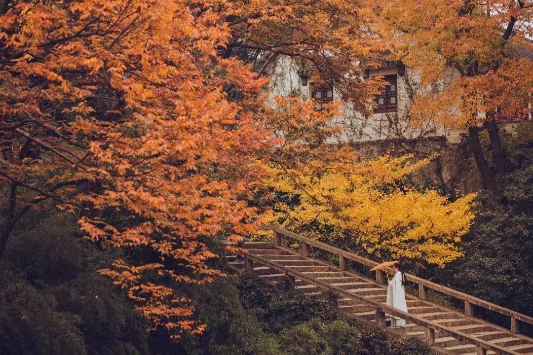 纳兰容若的词6首，唱尽人世悲欢，美到极致