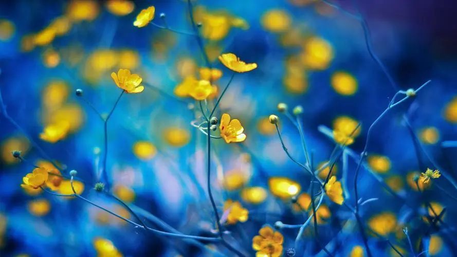 形容美食诱人的句子20句，每一种食物都有着它独特的魅力