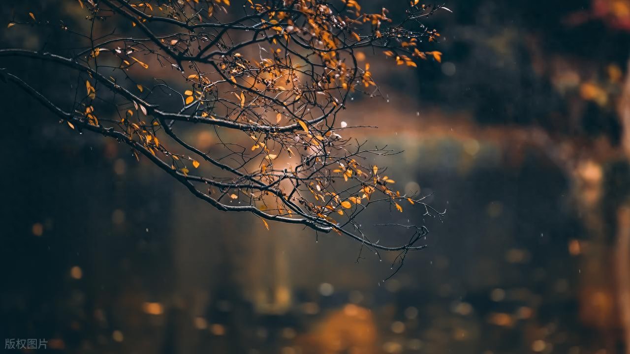 秋雨绵绵的唯美古诗10首，每一首都别有一番滋味