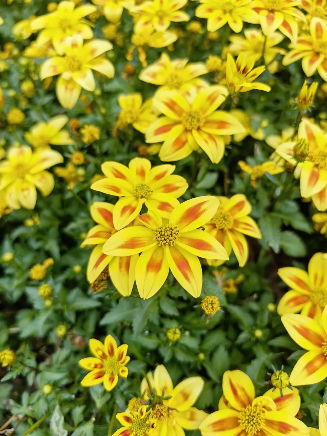 大暑节气诗词10首，在诗词里，觅一处清凉！