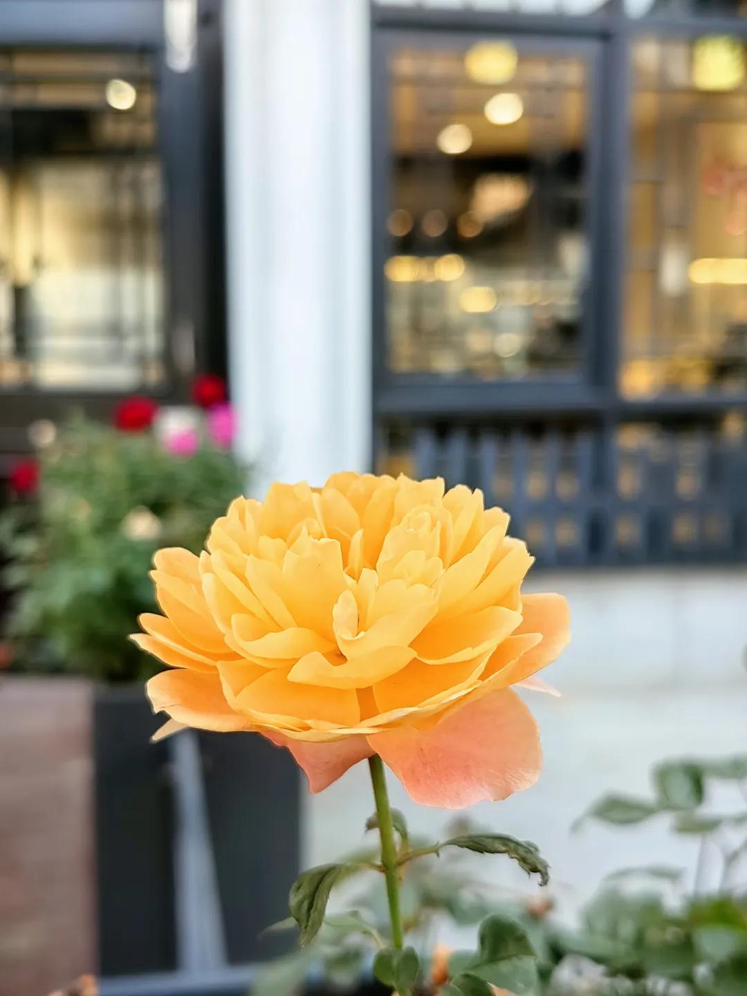 大暑节气诗词10首，在诗词里，觅一处清凉！