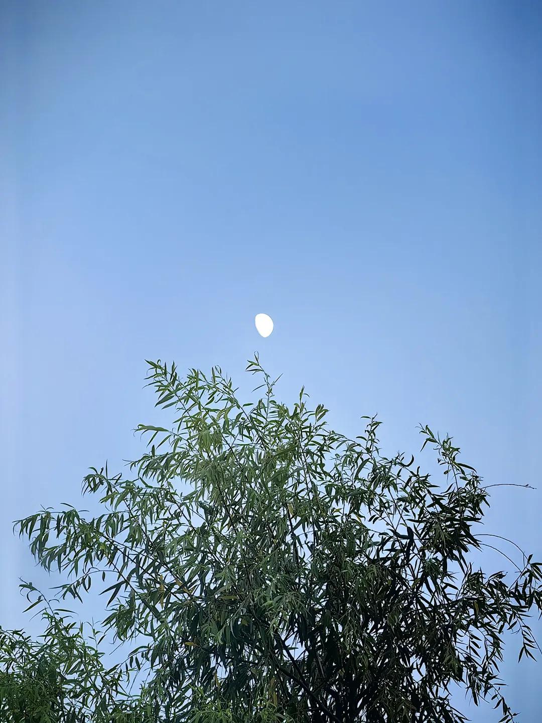 大暑节气诗词10首，在诗词里，觅一处清凉！