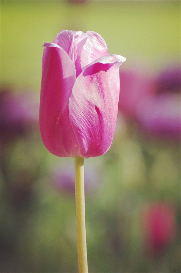 人生哲理短句21句，看懂活得更明白