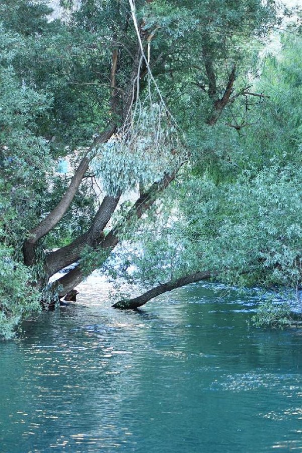 人生哲理短句21句，看懂活得更明白