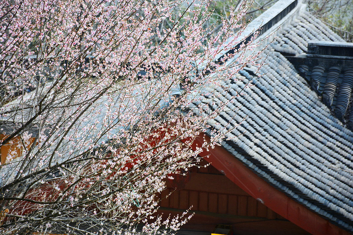 下雪的唯美短句30句，治愈了整个冬天