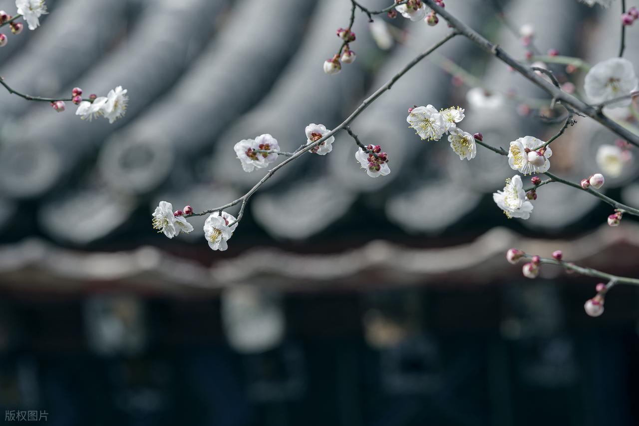 杨广的诗6首，“昏君”也有超凡才情