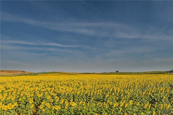励志短句高级文案24句，精辟励志，早起必读