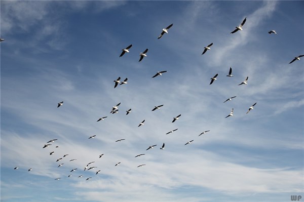 励志短句高级文案24句，精辟励志，早起必读