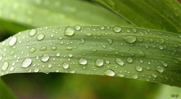 励志短句高级文案24句，精辟励志，早起必读