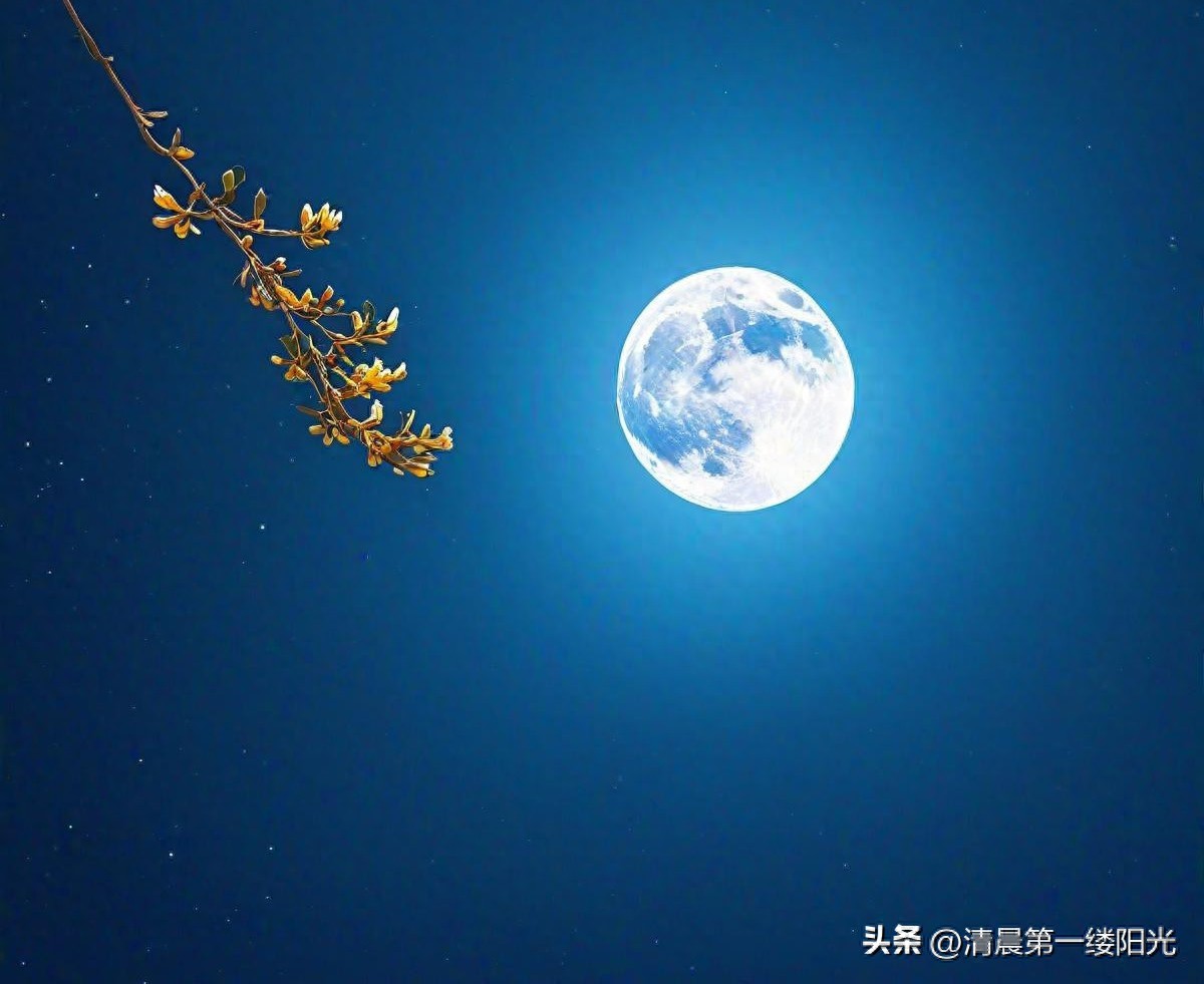 月夜忆舍弟杜甫（原文及赏析）