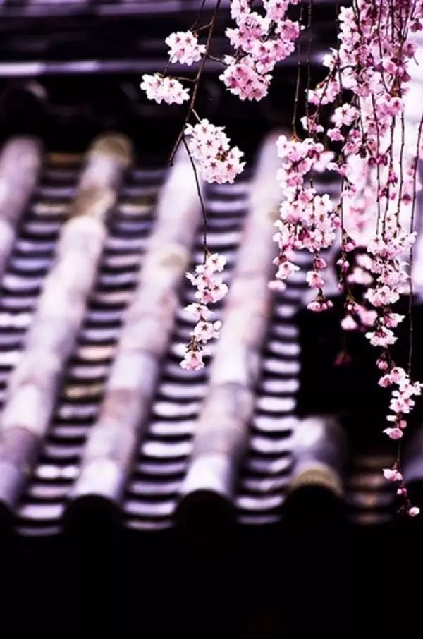 纳兰性德的词10首，清丽凄婉，情真意切