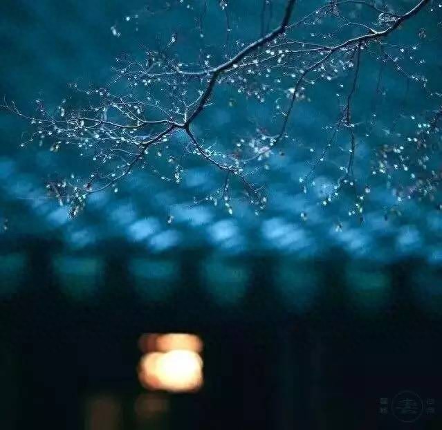 纳兰性德的词10首，清丽凄婉，情真意切