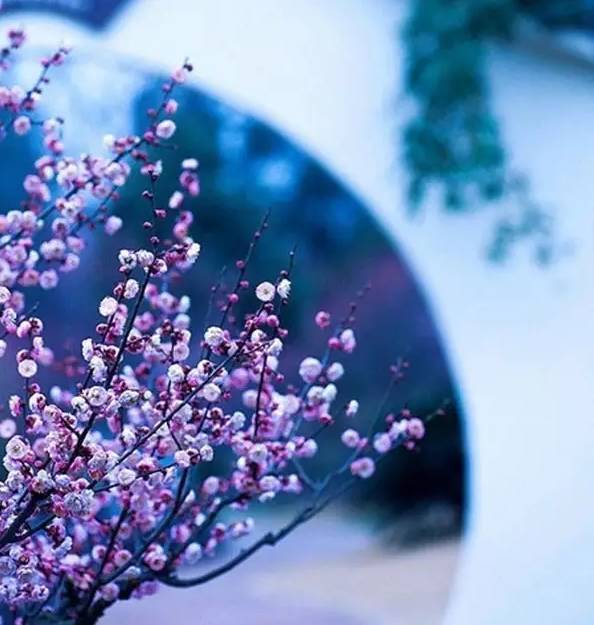 纳兰性德的词10首，清丽凄婉，情真意切