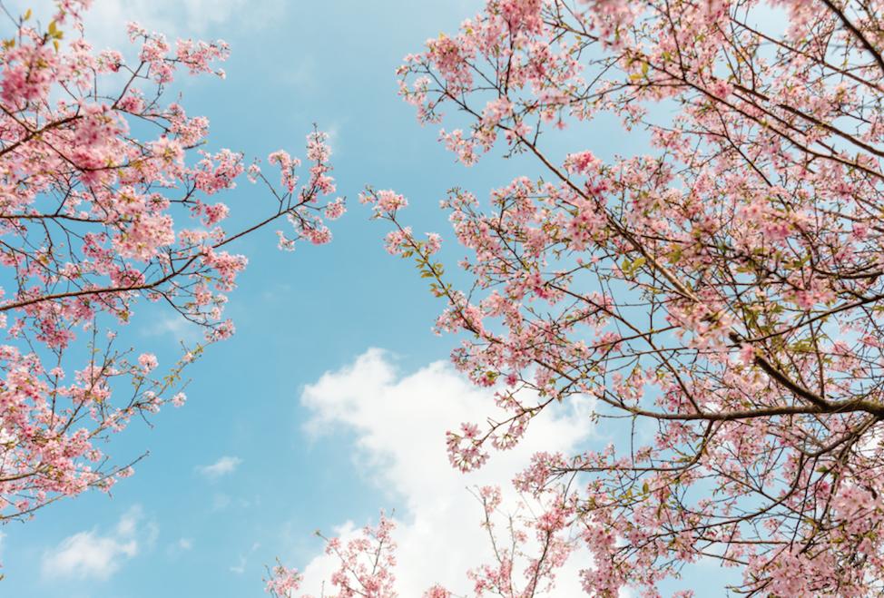 春分的小诗15首，带你赏尽美好春光