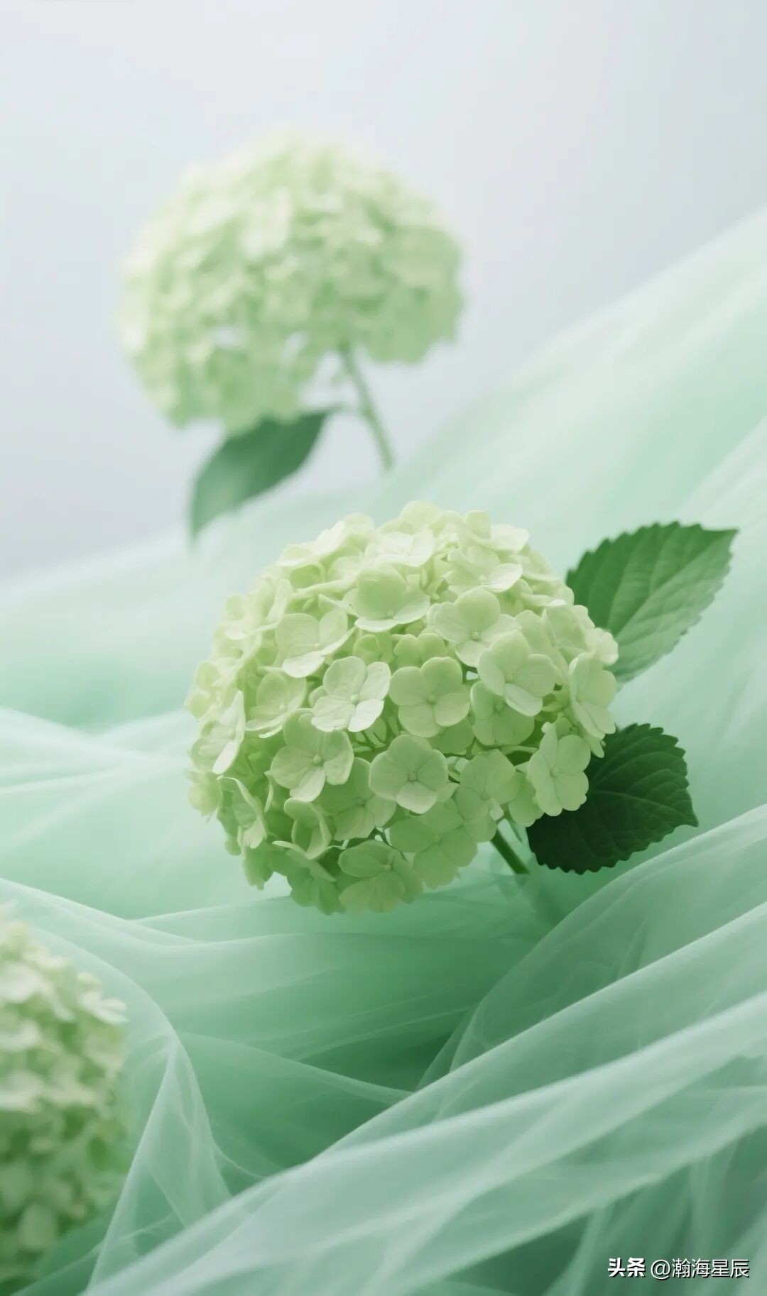 温柔暖心治愈的句子10句，愿你一路繁花，前程似锦