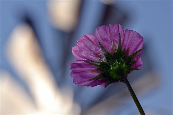 四月的句子20句，精辟至极，穿透人心