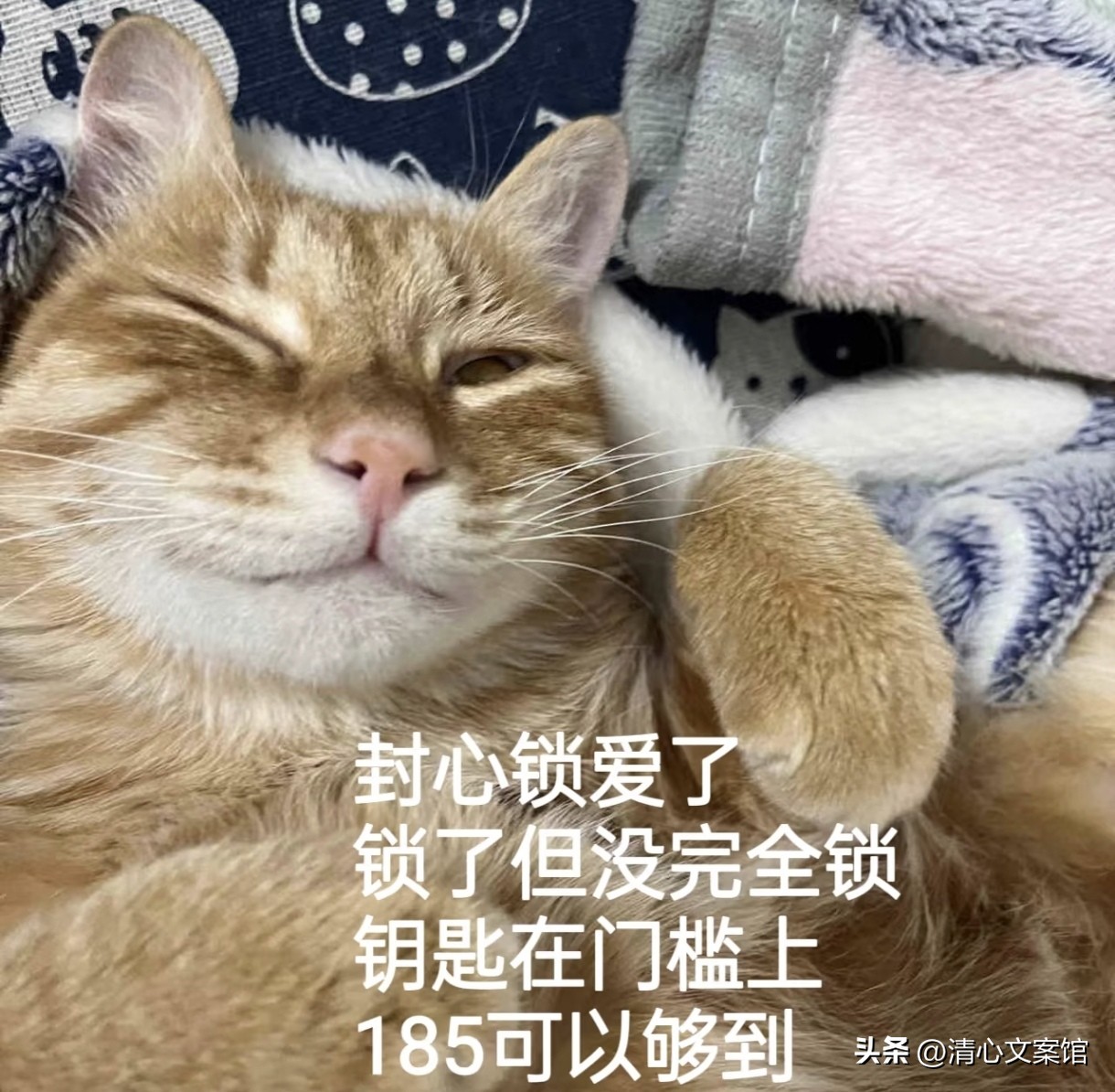 七夕搞笑文案10句，有的人七夕过节，有的人七夕加班