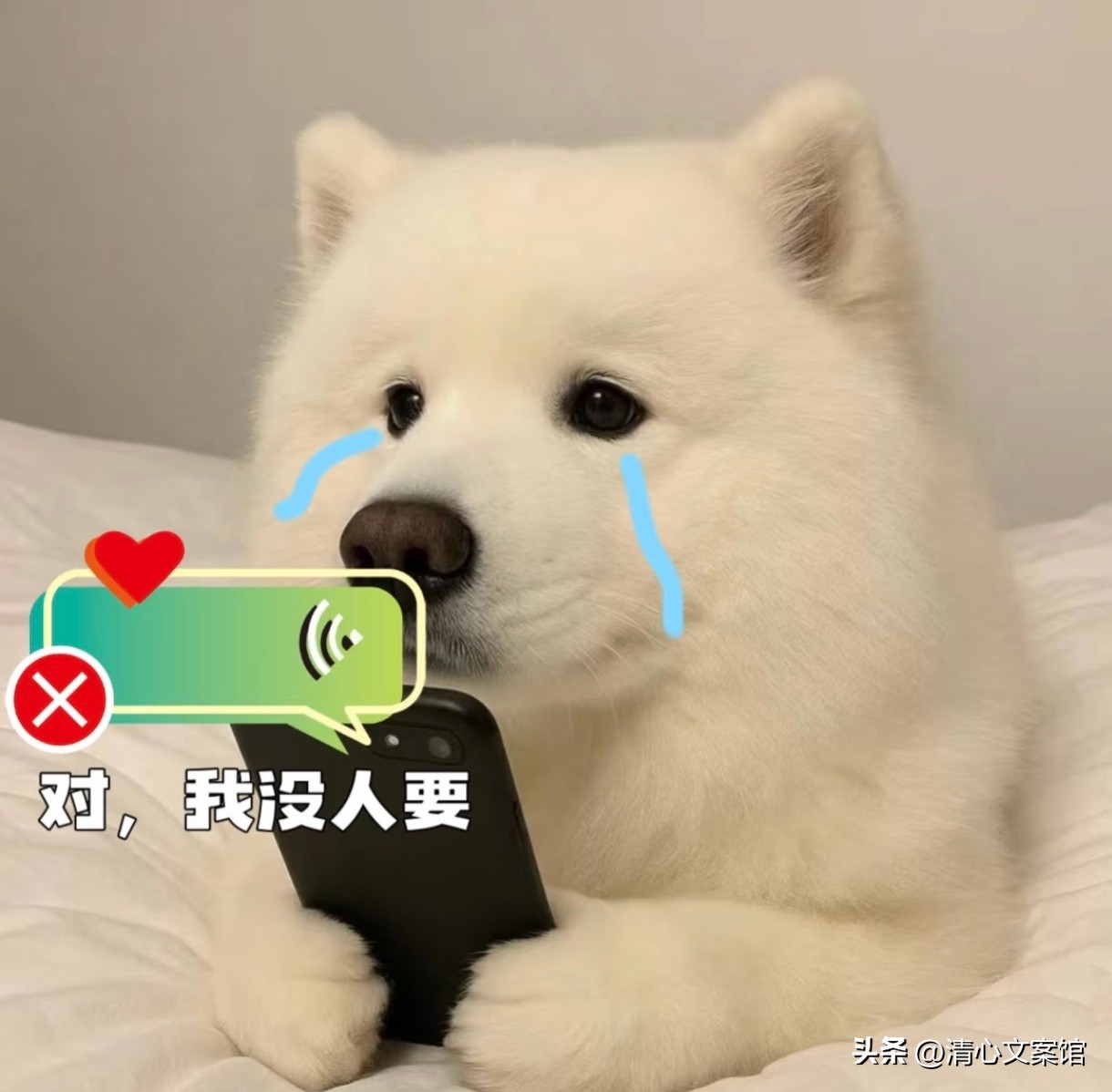 七夕搞笑文案10句，有的人七夕过节，有的人七夕加班