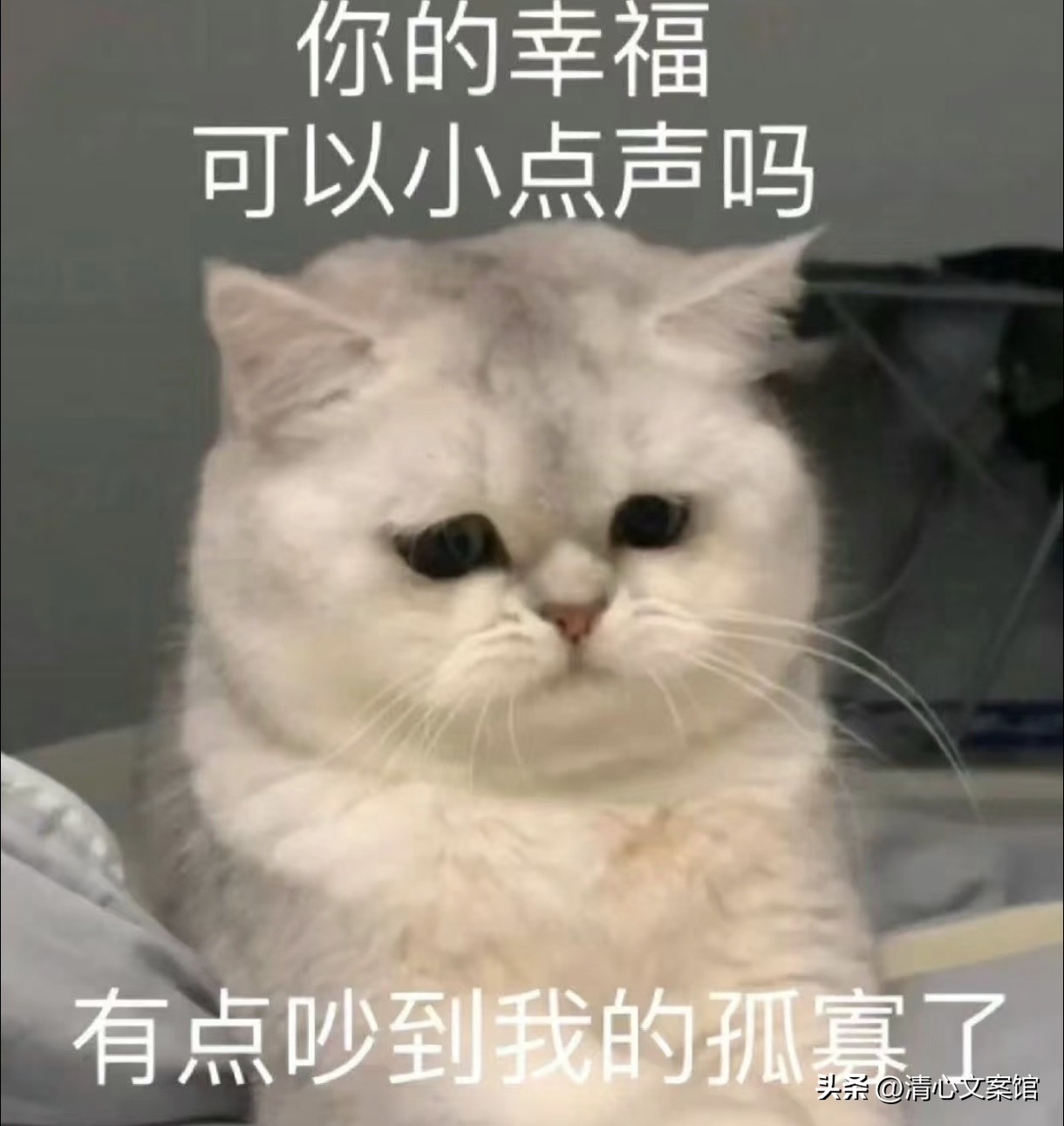 七夕搞笑文案10句，有的人七夕过节，有的人七夕加班