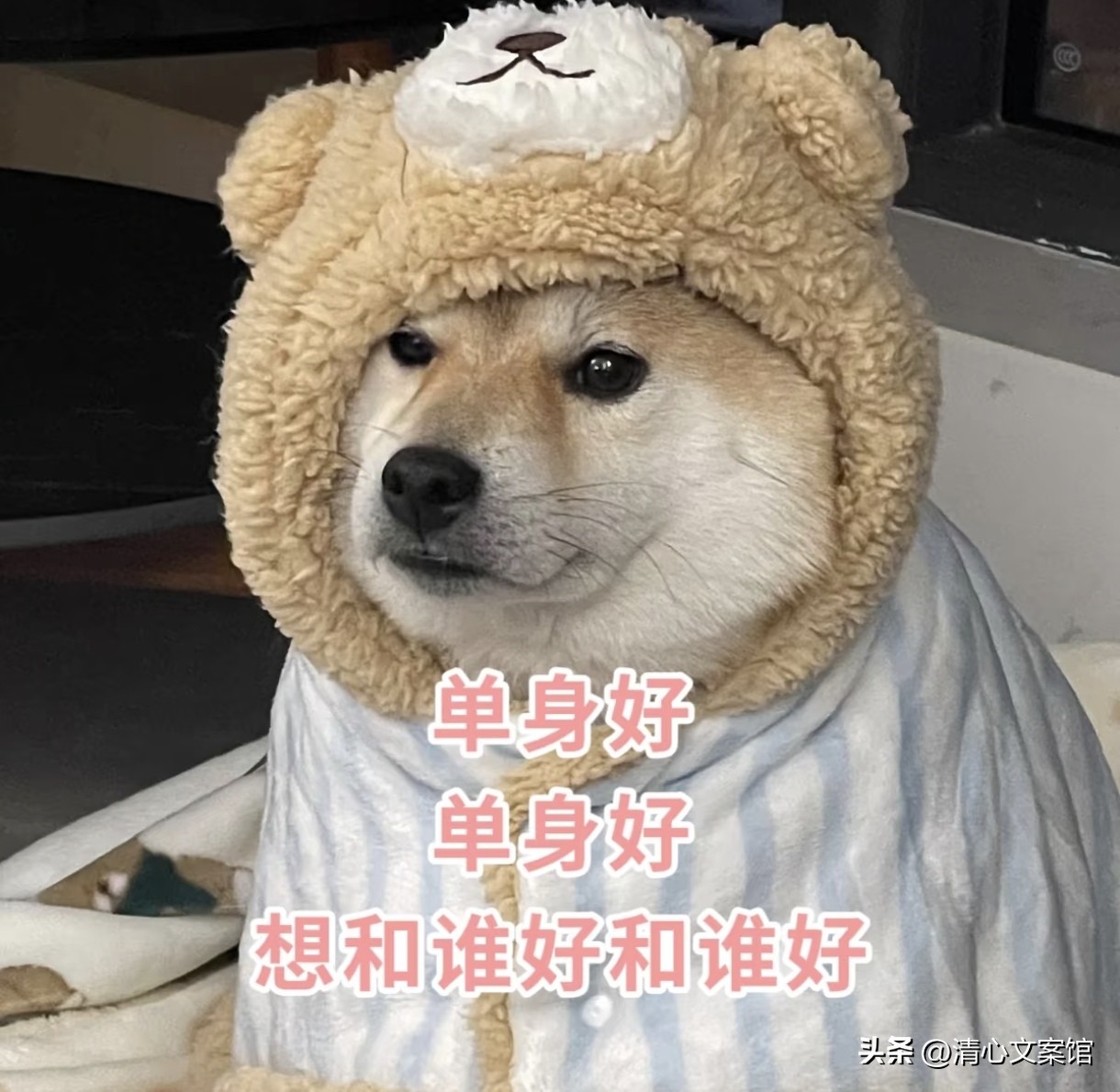 七夕搞笑文案10句，有的人七夕过节，有的人七夕加班