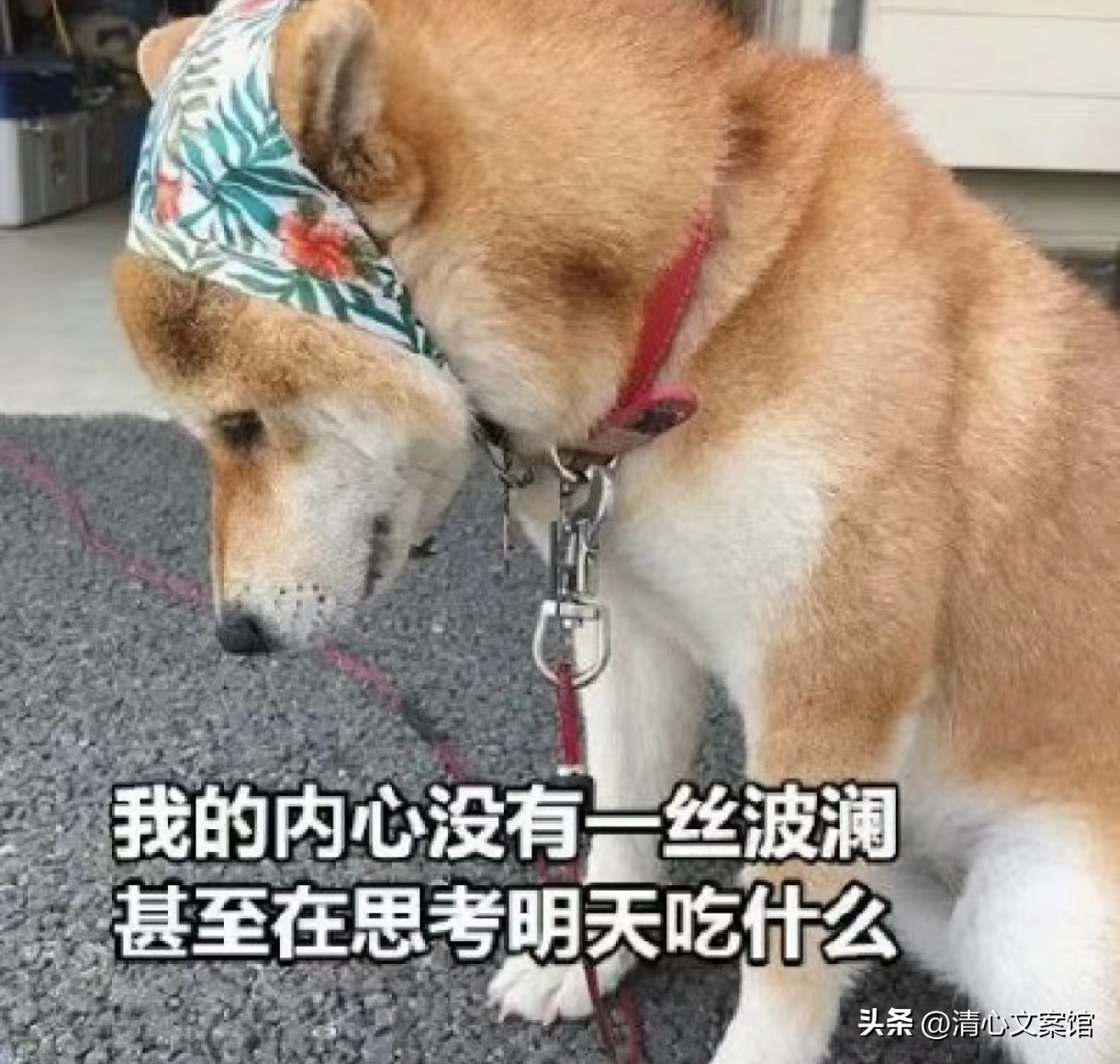 七夕搞笑文案10句，有的人七夕过节，有的人七夕加班