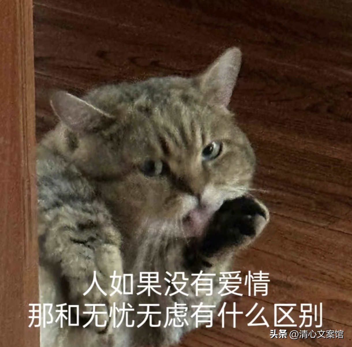 七夕搞笑文案10句，有的人七夕过节，有的人七夕加班