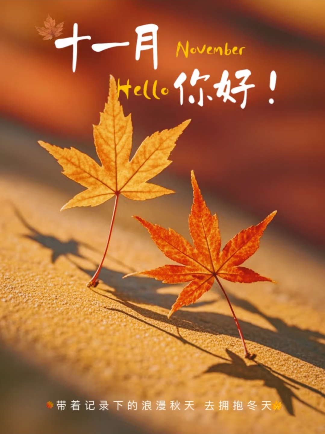 十月再见 十一月你好的句子30句，未完成的事，都让十一月来续写