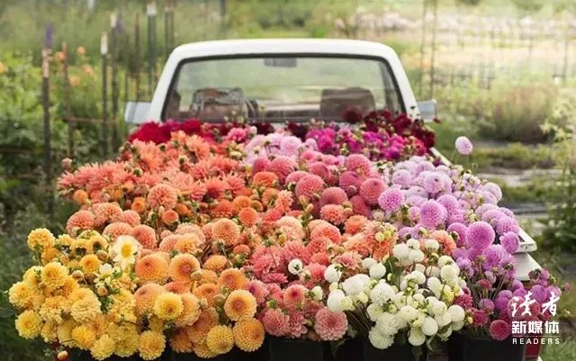 适合七夕节发的句子12句，甜蜜暖心，深情撩人