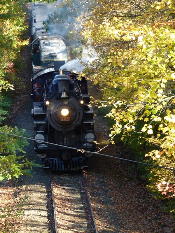 文案短句干净治愈10句，唯美走心，直抵心灵