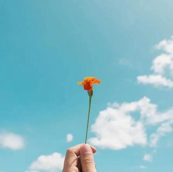 心情短语致自己21句，句句令人喜欢