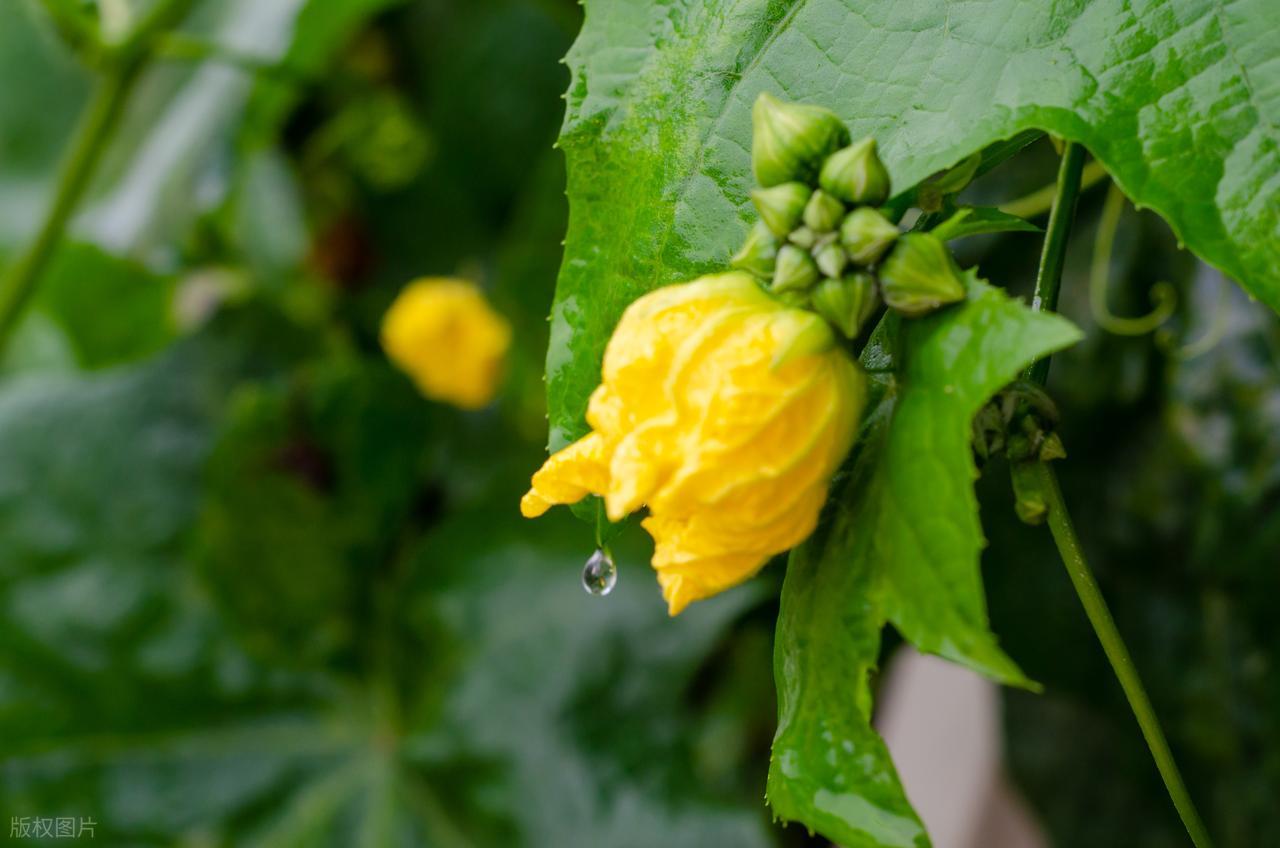 离别诗词6首，让思念永恒于心间