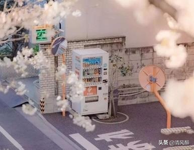 520表白浪漫的句子15句，祝你爱情甜如蜜