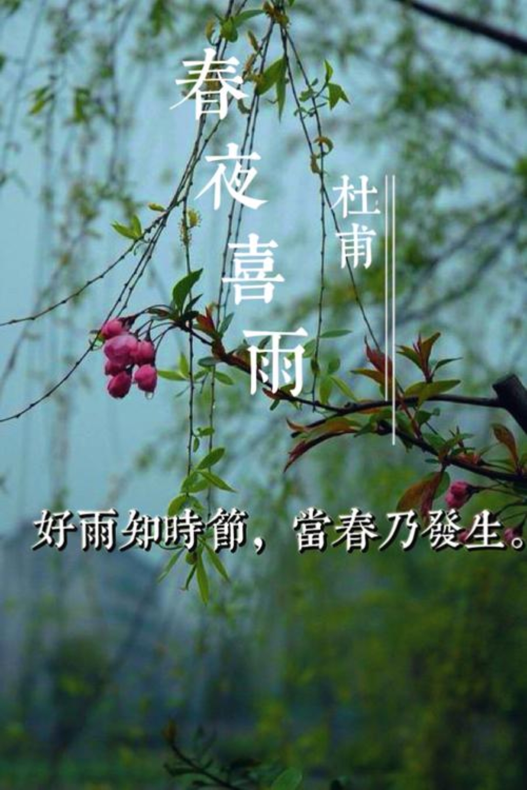 春夜喜雨（原文及深度解析）