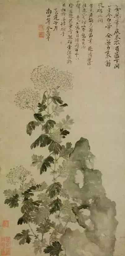 咏菊50首，优雅美艳，赏心悦目!