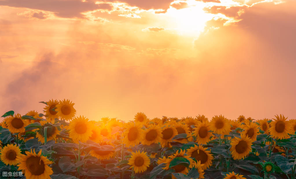 陈与义诗词10首，语意超绝，别具风格