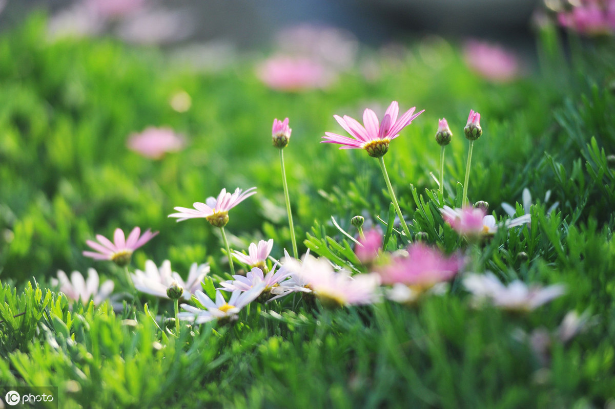 陈与义诗词10首，语意超绝，别具风格
