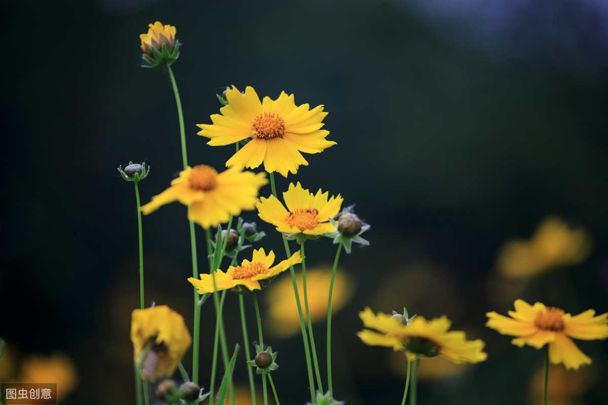 陈与义诗词10首，语意超绝，别具风格