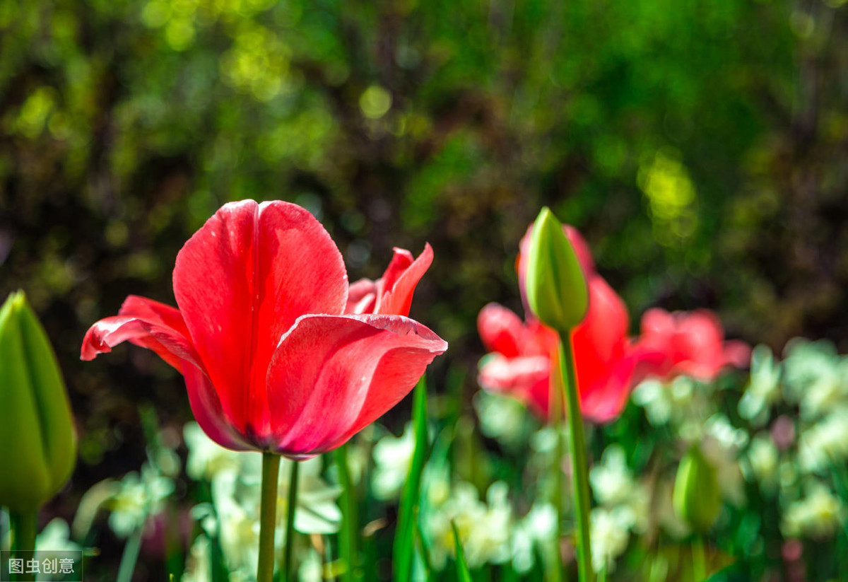 陈与义诗词10首，语意超绝，别具风格