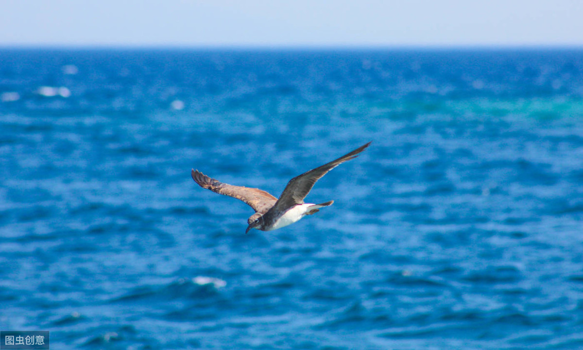 陈与义诗词10首，语意超绝，别具风格