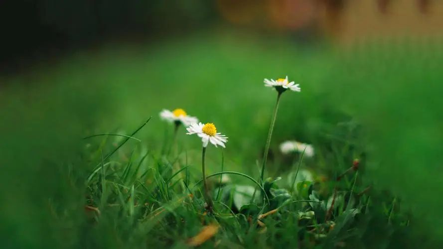 彩虹的句子短唯美20句，让人看一眼就心动