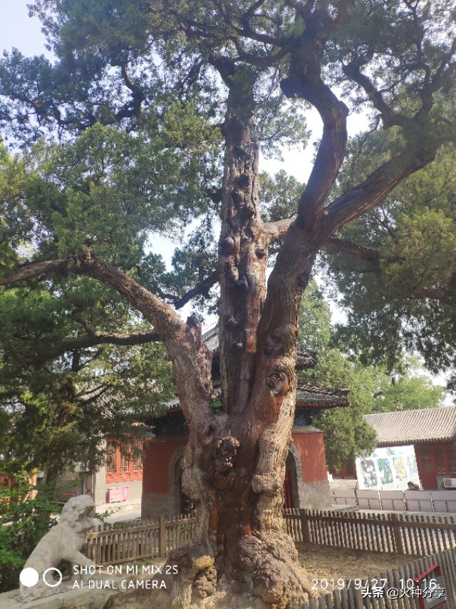 佛说人生感悟的句子20句，渡人更渡己