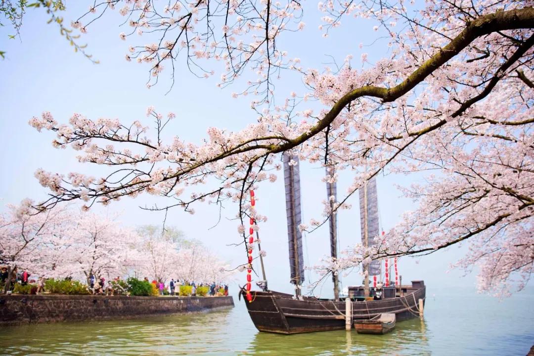 纳兰容若经典的20首诗词，一定要读一次