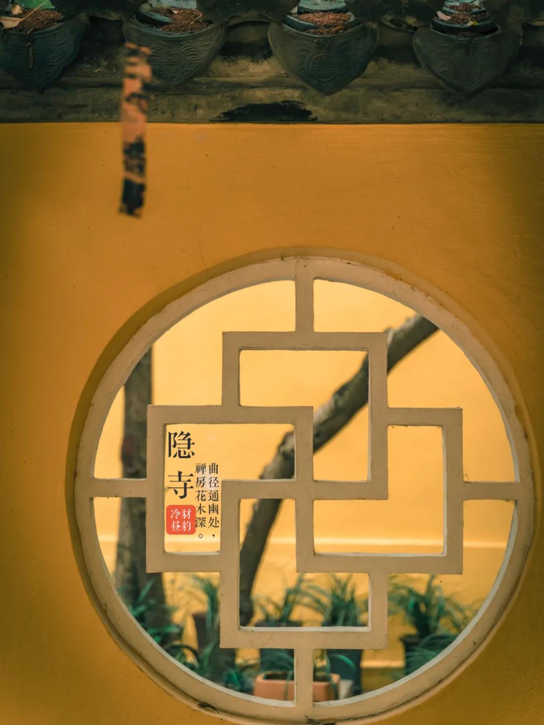 纳兰容若经典的20首诗词，一定要读一次