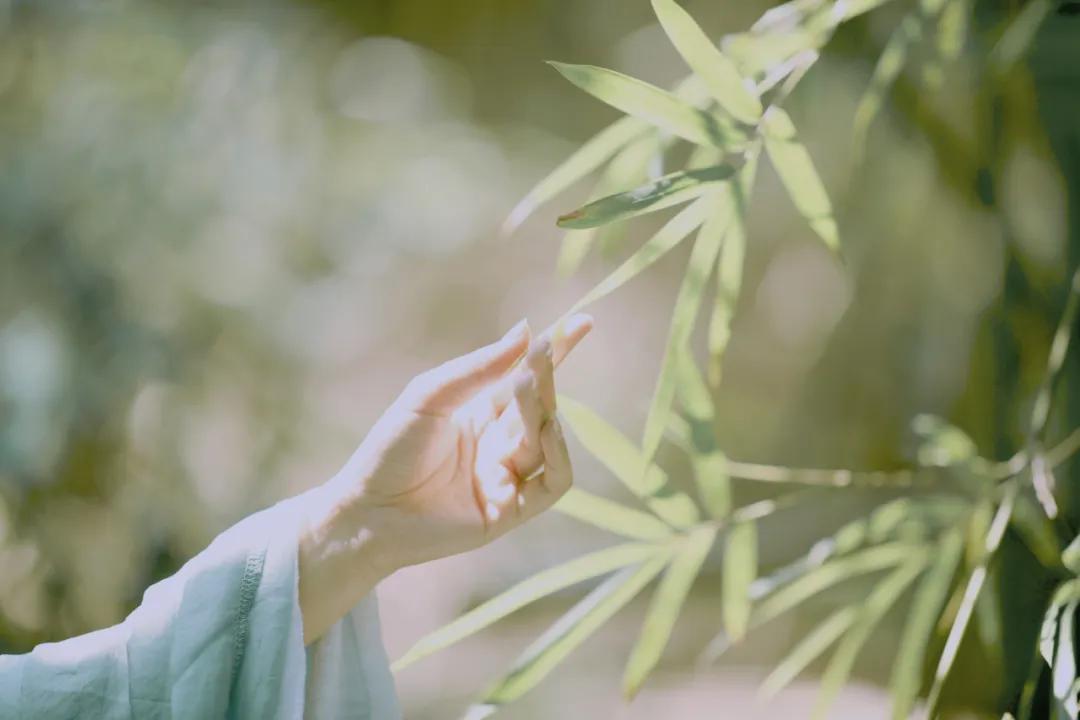 纳兰容若经典的20首诗词，一定要读一次