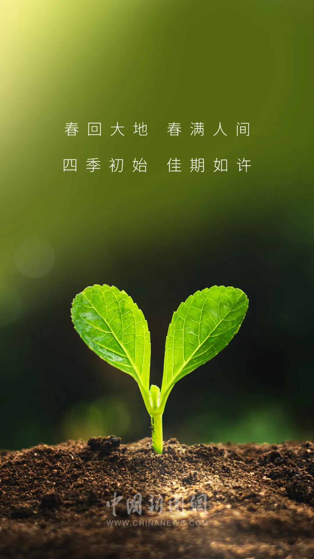 立春的文案30句，愿我们不负春光