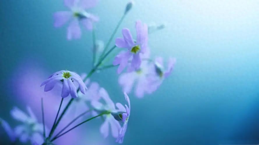 惊蛰唯美句子20句，万卷春光，一缕明媚